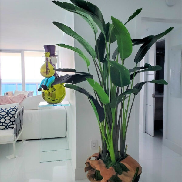 Große Vase aus Teakholz mit prächtiger Strelitzie (Strelitzie)