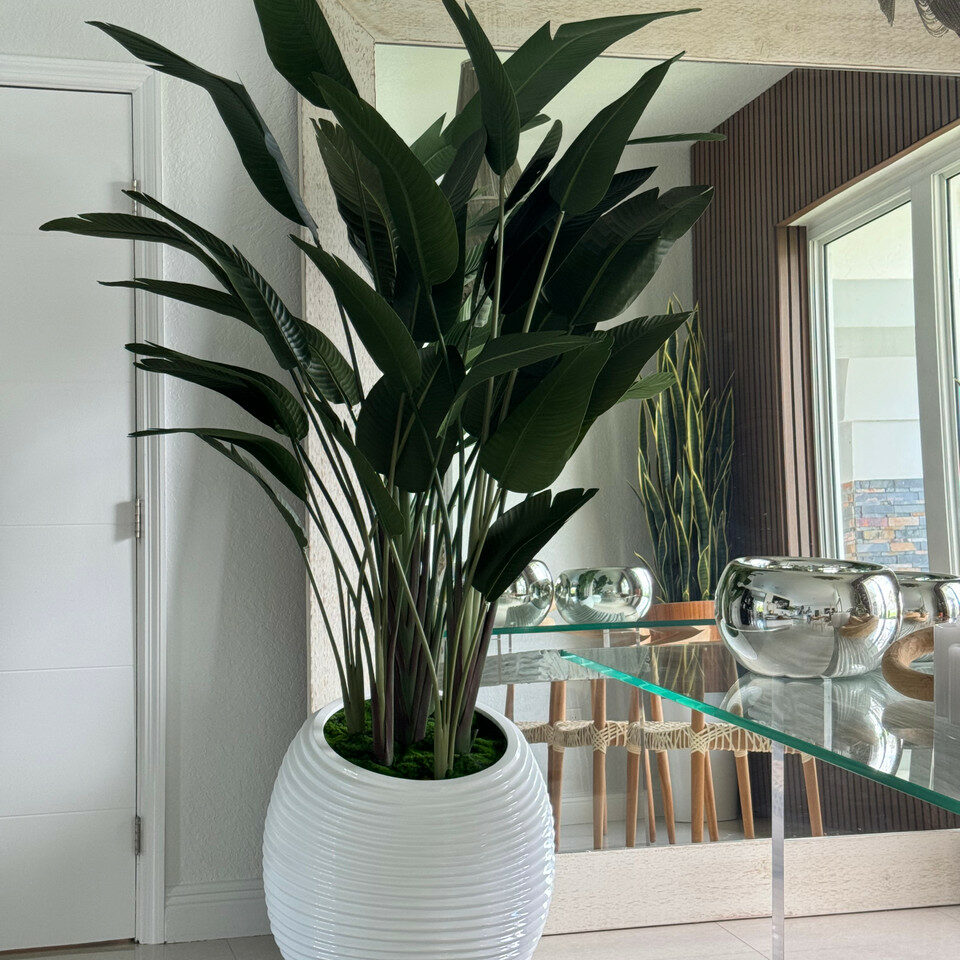 Strelitzie in weißer Spiralvase