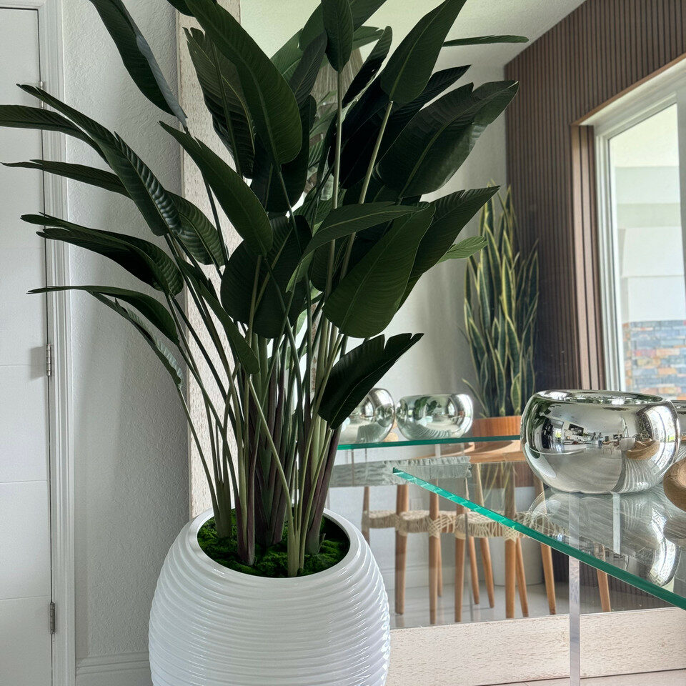 Strelitzie in weißer Spiralvase