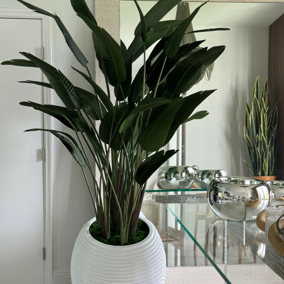 Strelitzie in weißer Spiralvase