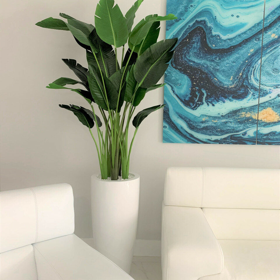 2,1 m Strelitzie mit Dax L Topf