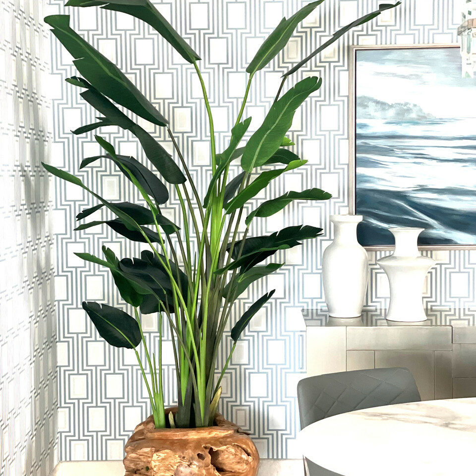 Große Vase aus Teakholz mit prächtiger Strelitzie (Strelitzie)